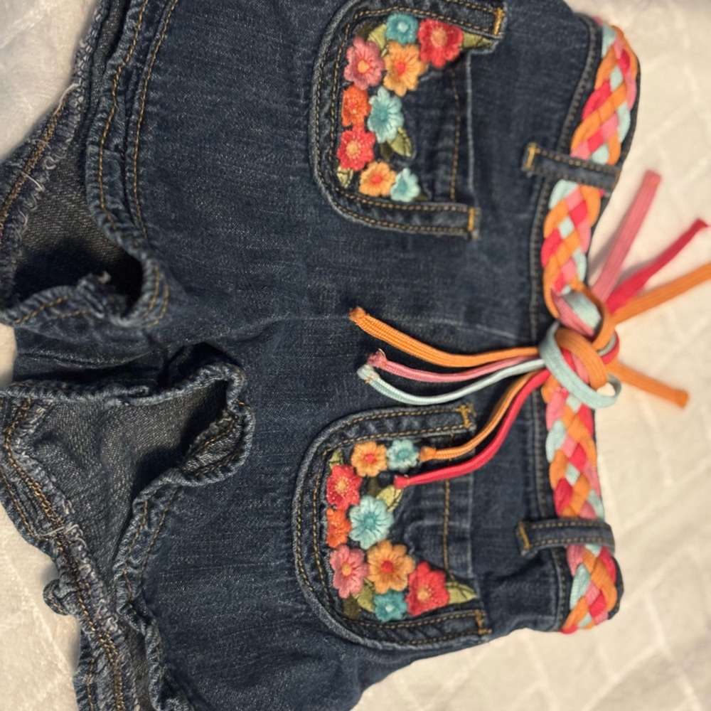 Gymboree Blue and Red Embroidered Shorts